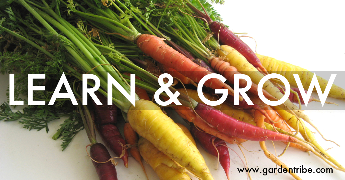GT_Learn&Grow_for KidsGardening