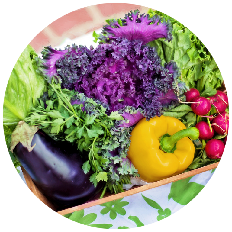 box of bright colored garden vegetables including pepper, eggplant, radishes, and lettuce