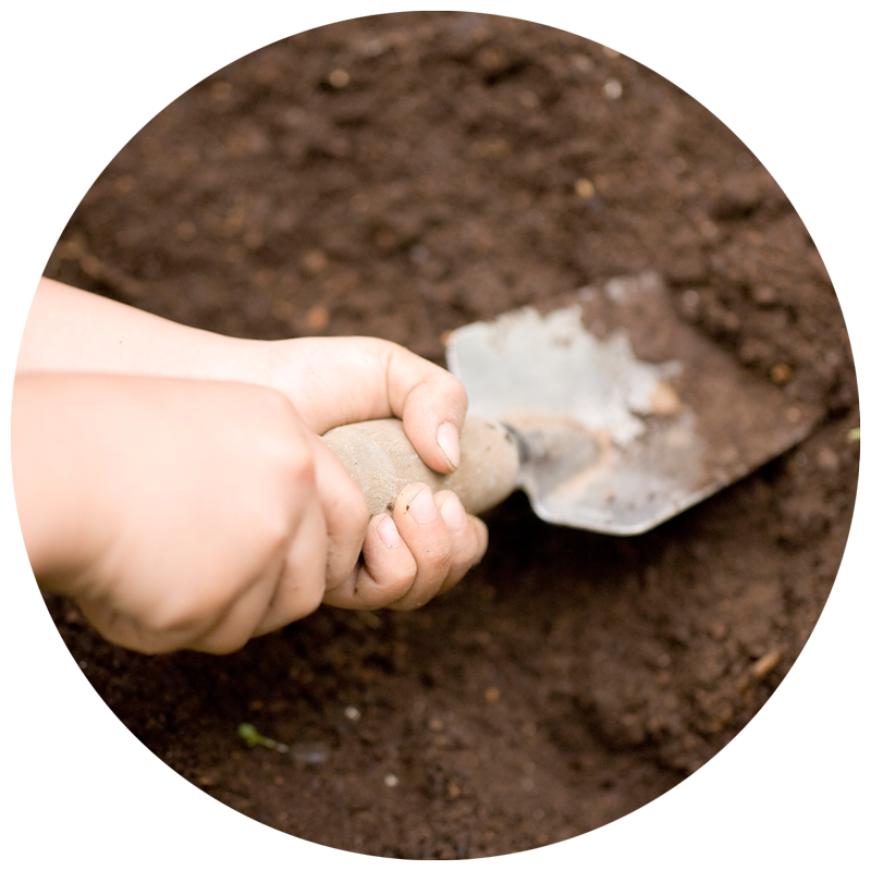 soil texture lesson plan