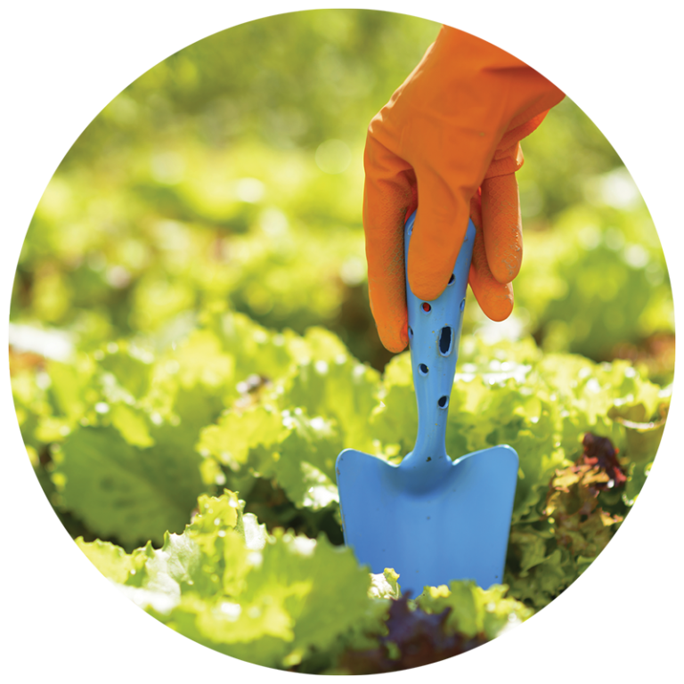 orange glove digging blue trowel into garden