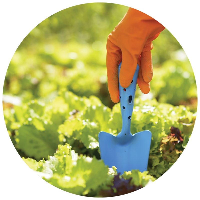 orange glove digging blue trowel into garden