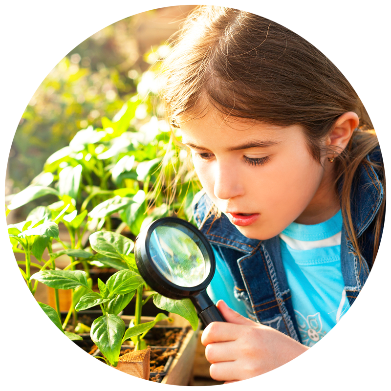 girl looking through magnifying glass at garden plants