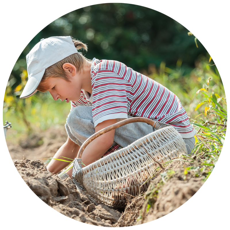 boy gardening