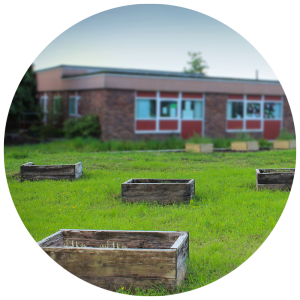 raised garden beds at a school garden