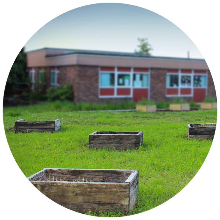 raised garden beds at a school garden
