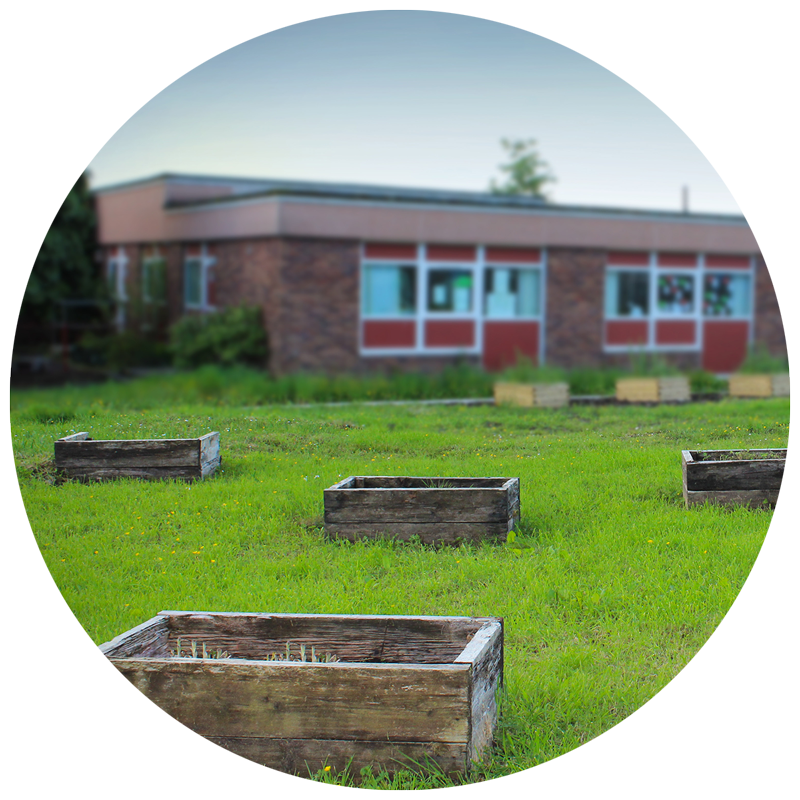 raised garden beds at a school garden