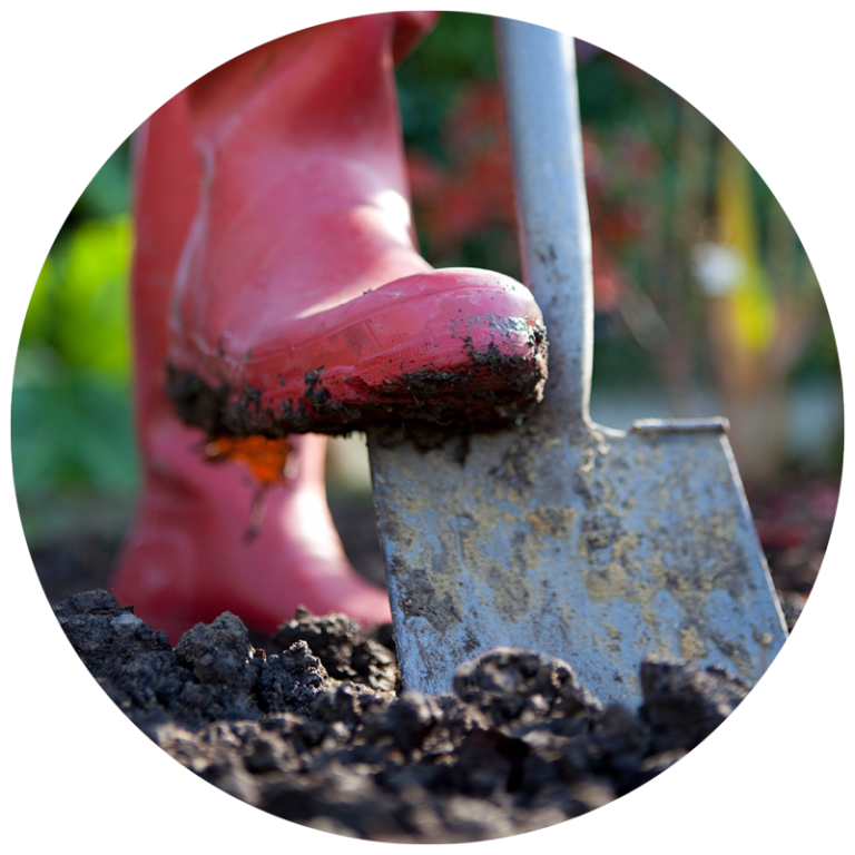 red boot digging shovel into garden soil