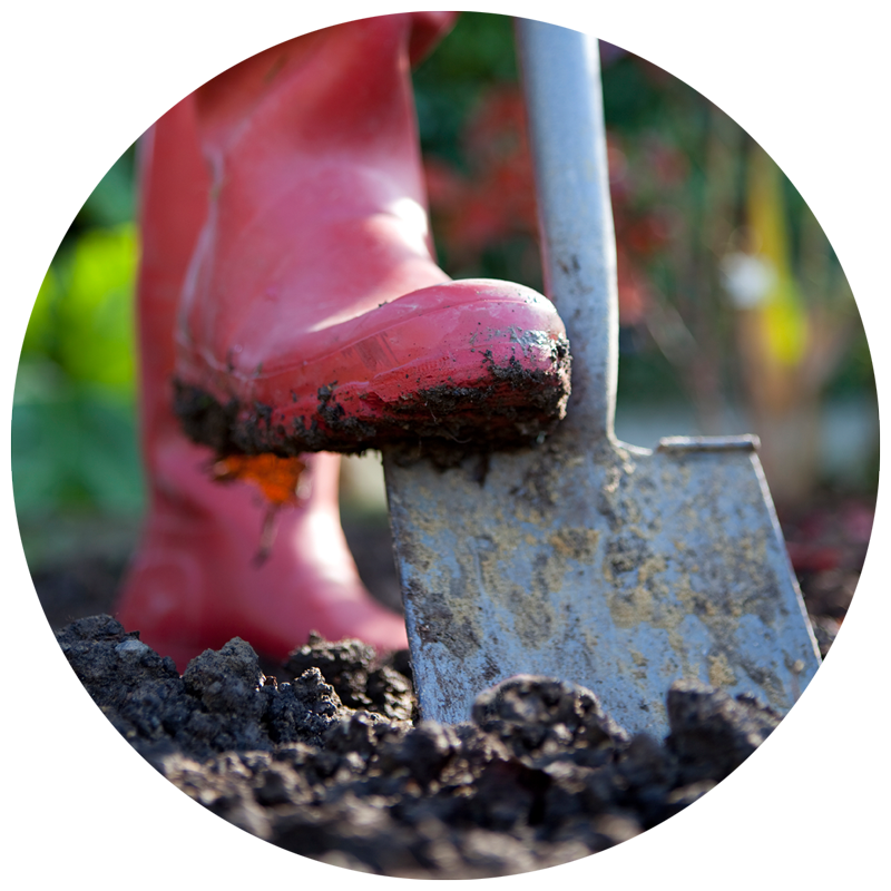 red boot digging shovel into garden soil