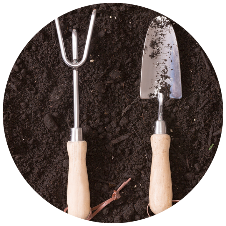 garden tools, trowel and cultivator in garden soil