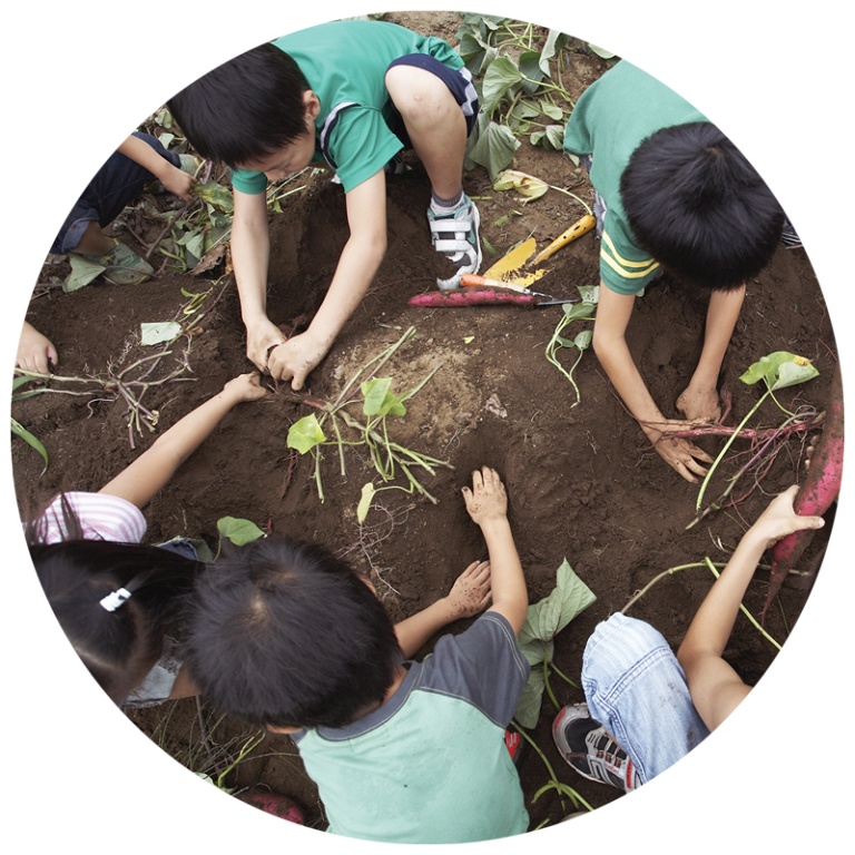 kids gardening