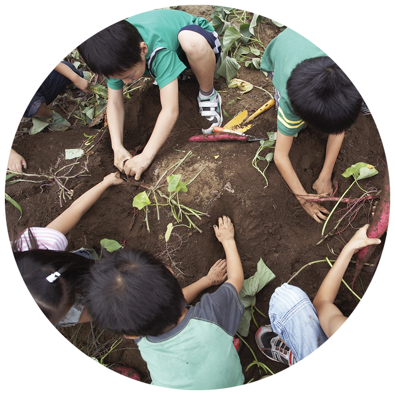 Create & Sustain a Program- Designing Garden Programs for All