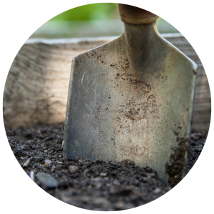 shovel in soil in garden bed