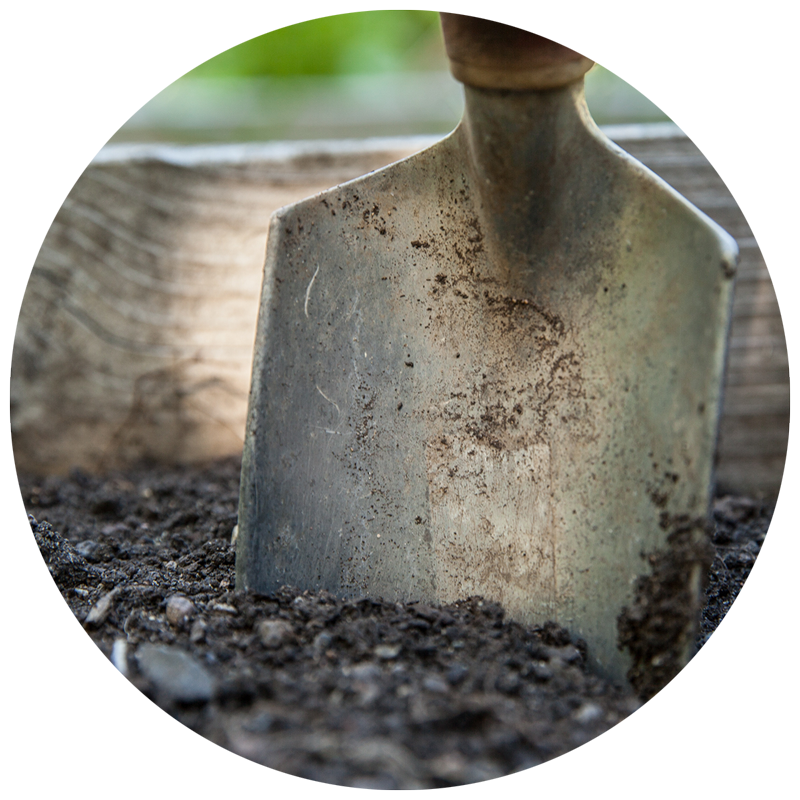 shovel in soil in garden bed