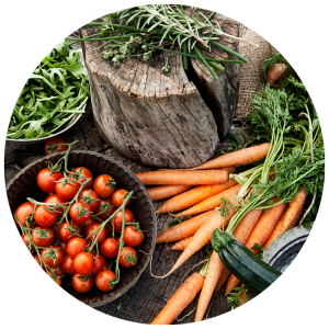 display of carrots, tomatoes and garden vegetables