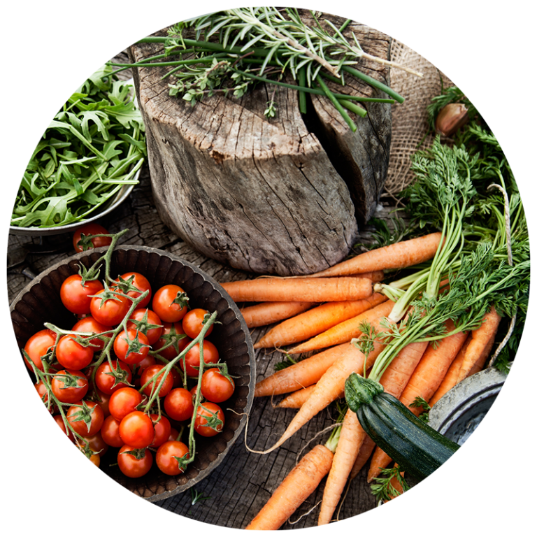 display of carrots, tomatoes and garden vegetables