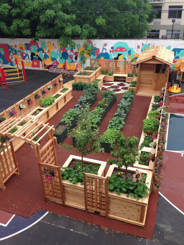 KG Program Spotlights – Carson Daly & KidsGardening Plant a Garden in ...