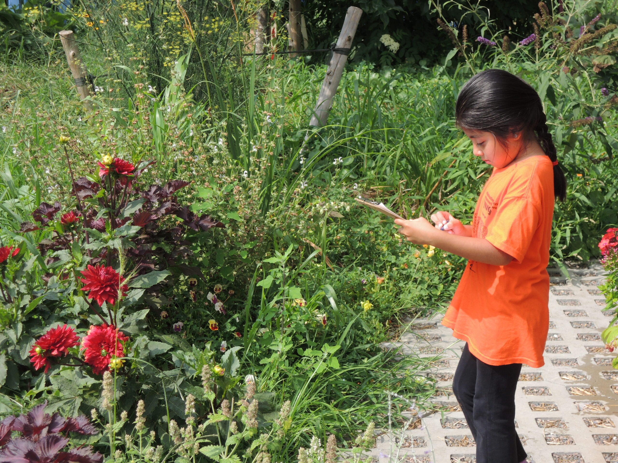A child in an orange shirt standing next to a lush green garden