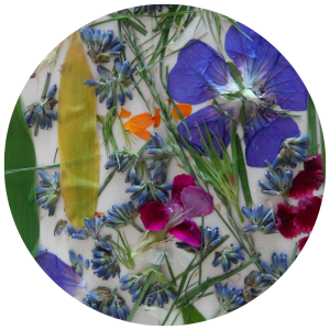 assortment of pressed flowers and leaves on white paper