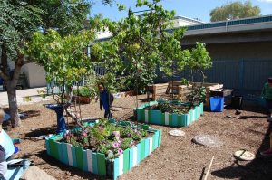 Shaw Montessori Garden