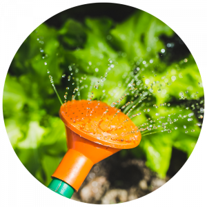watering can spout