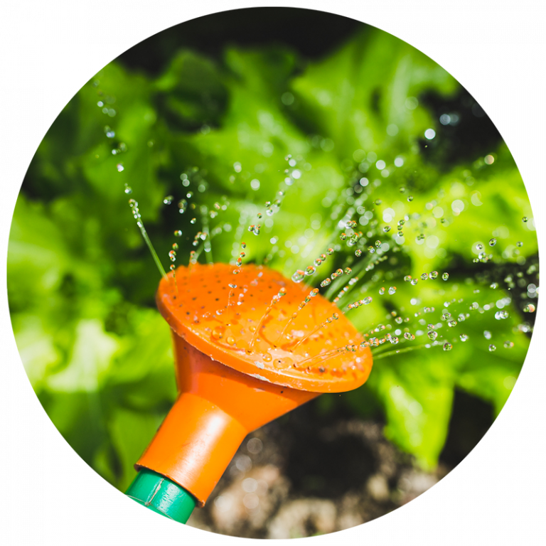 watering can spout