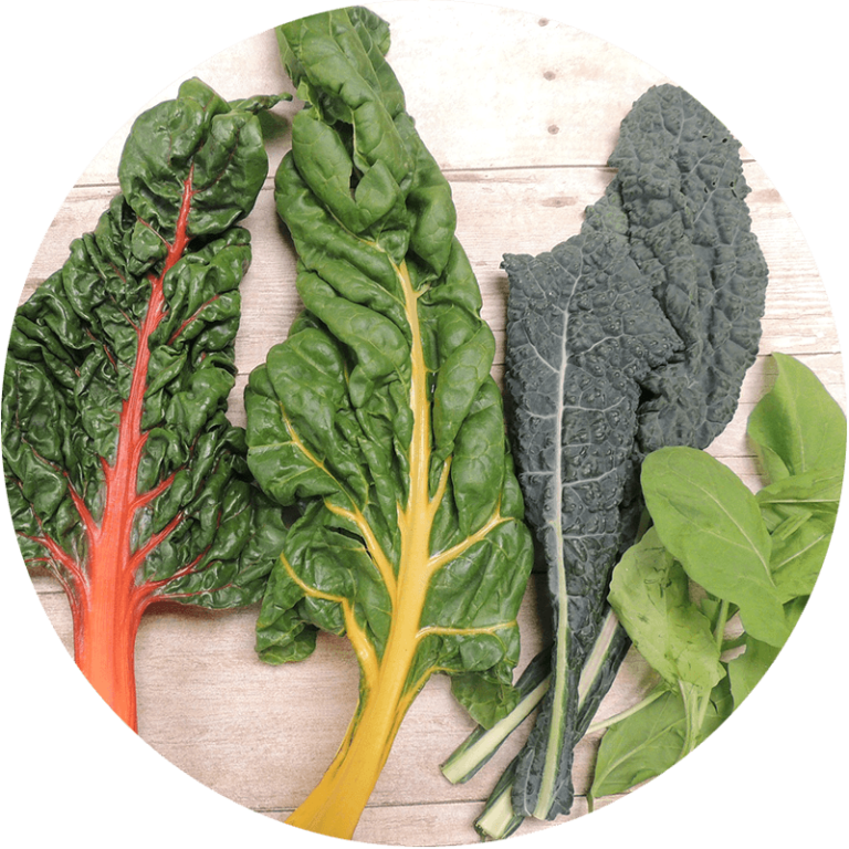 leaves of garden greens laid out