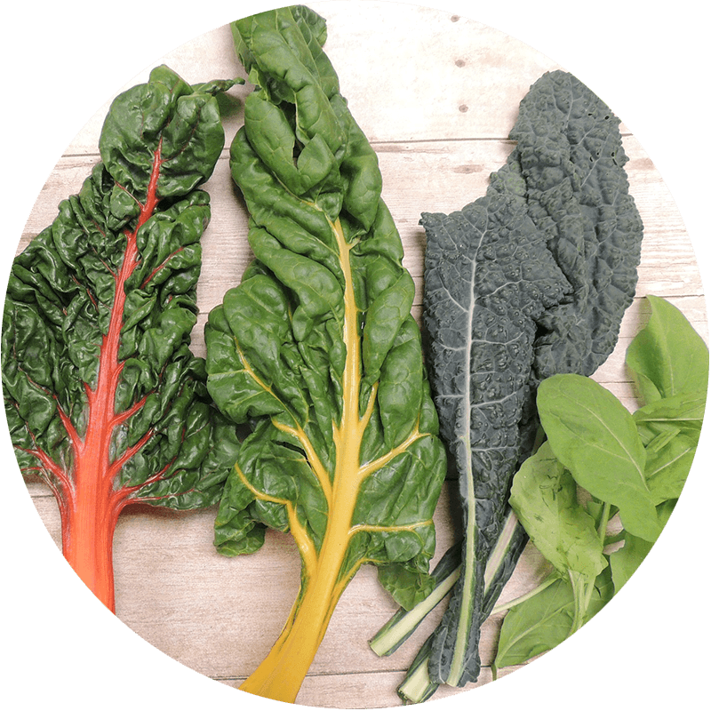 leaves of garden greens laid out