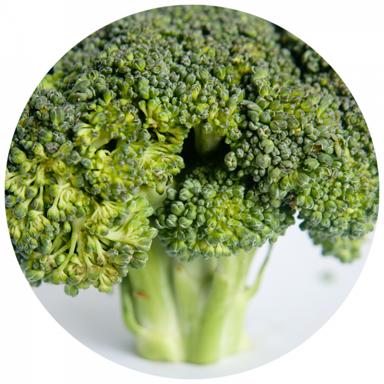 single broccoli floret