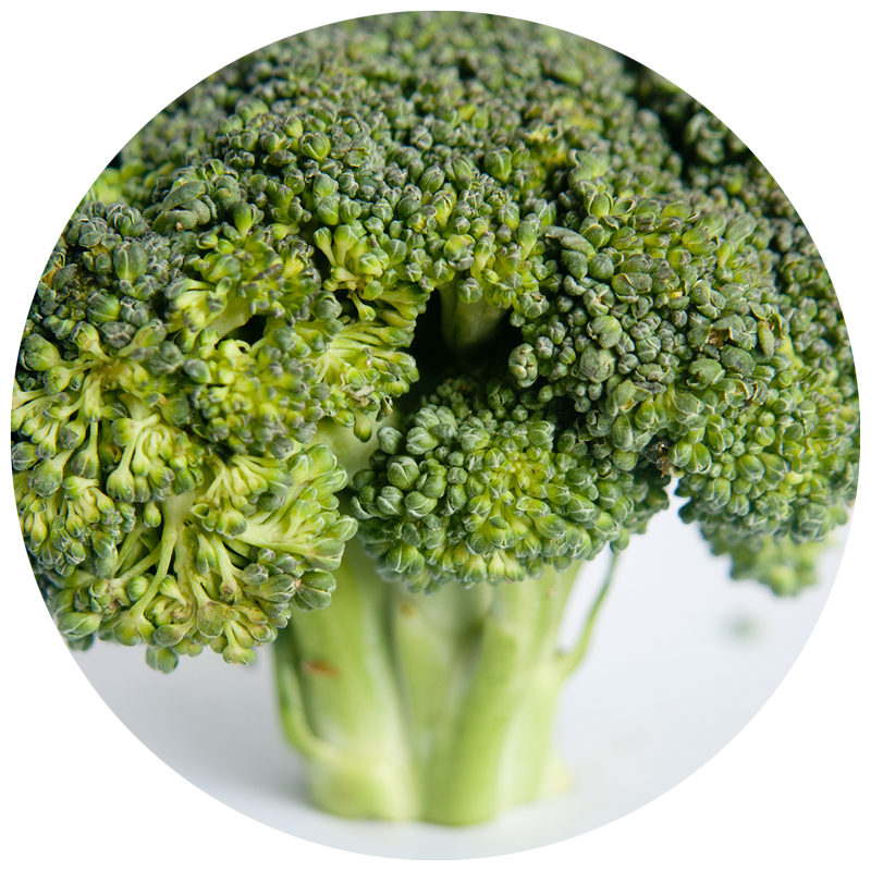 single broccoli floret