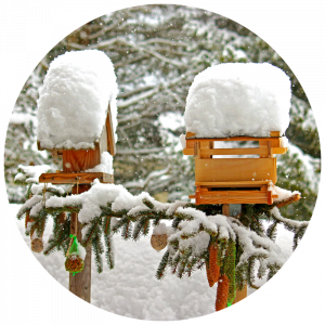 Snow covered bird houses in winter garden