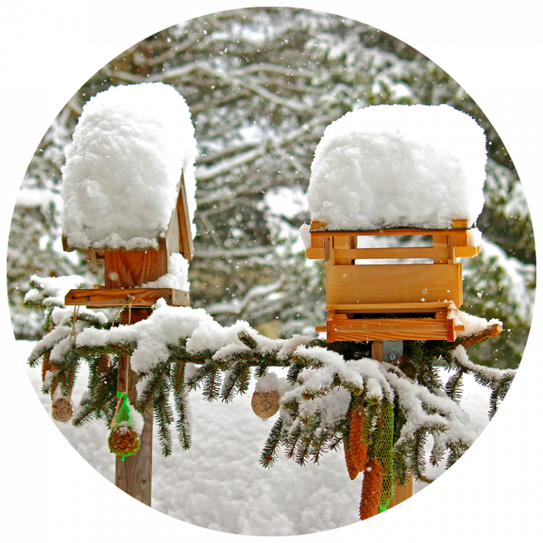 Snow covered bird houses in winter garden