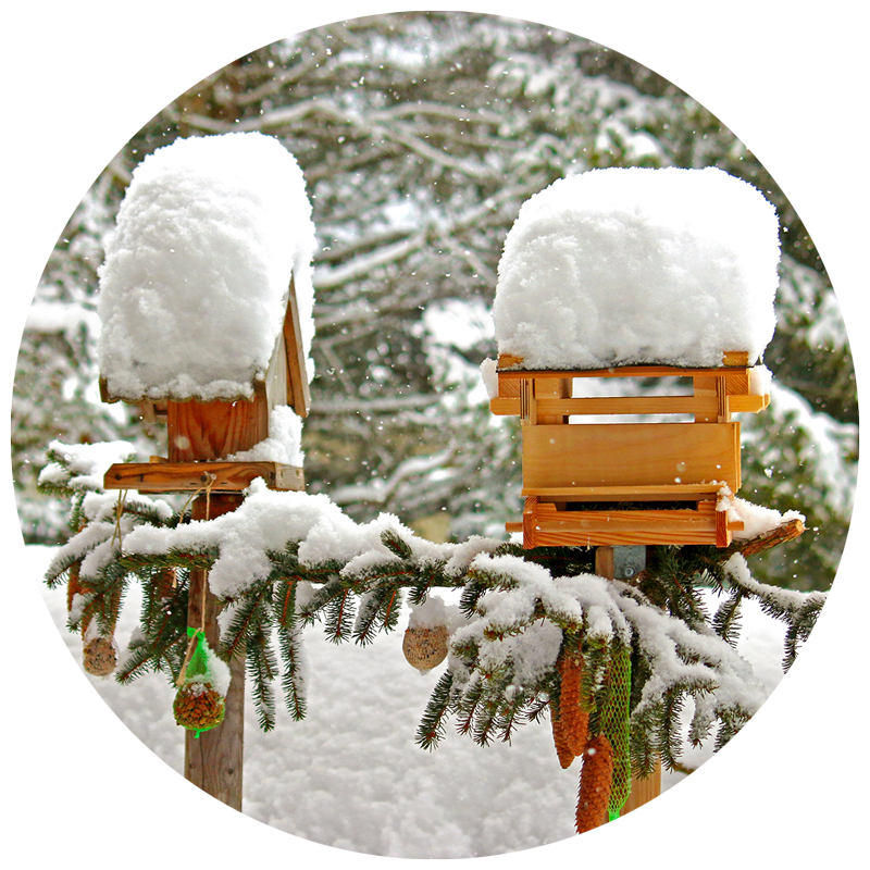 Snow covered bird houses in winter garden