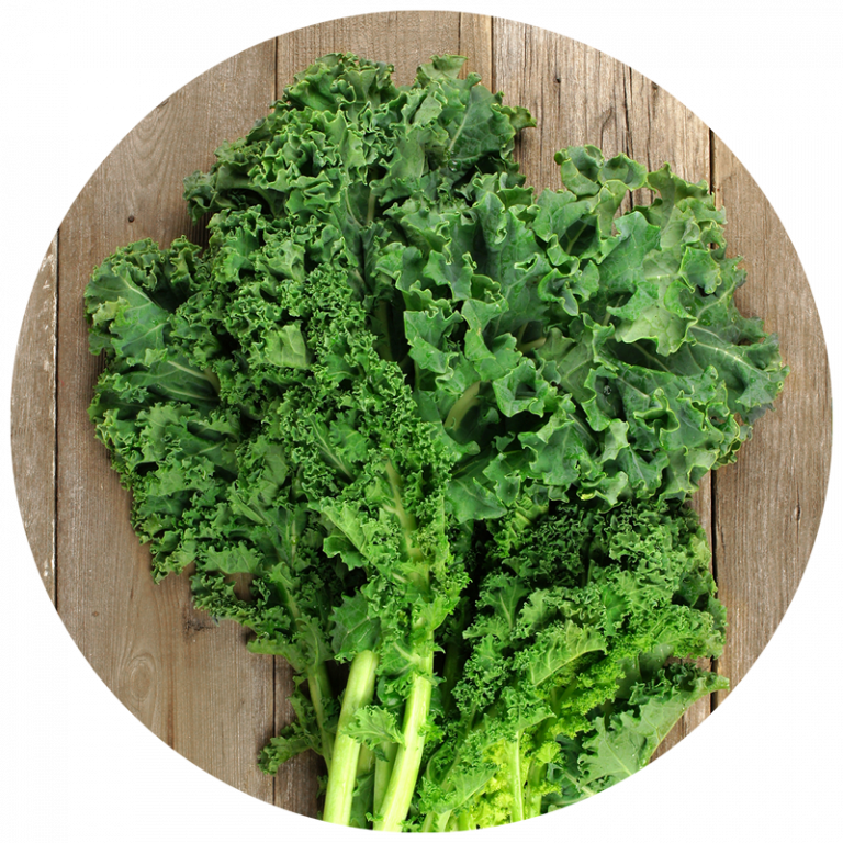 small bunch of harvested kale leaves on a wood background