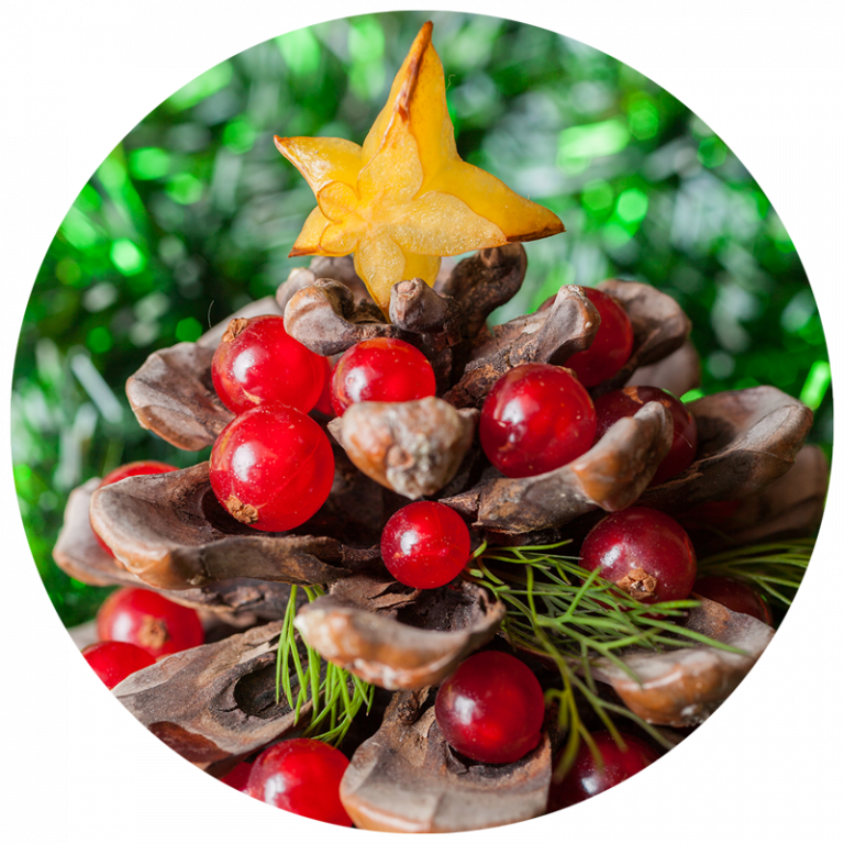 Holiday bird decoration craft made from pinecone and red berries to look like a Christmas tree
