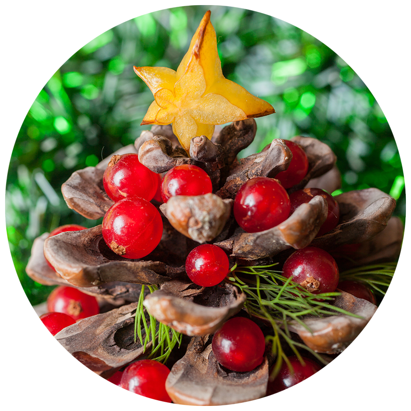 Holiday bird decoration craft made from pinecone and red berries to look like a Christmas tree