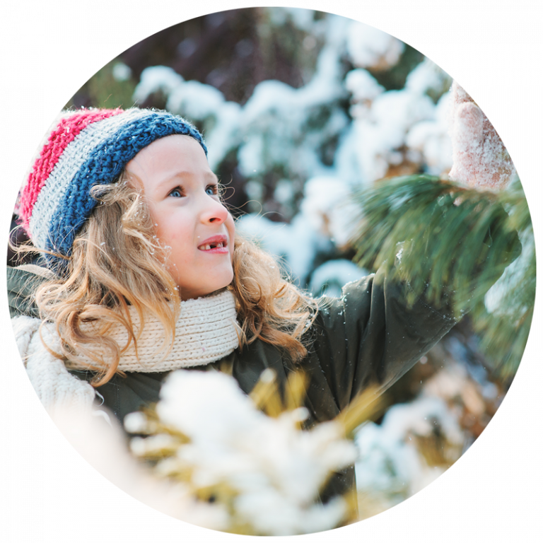 Young girl in winter hat collecting items from nature from a snow-covered evergreen tree