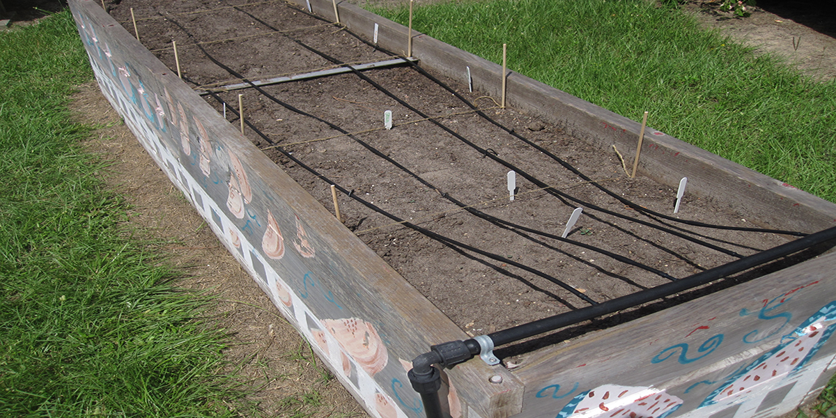 Favorite Kids Gardening Tool Blog