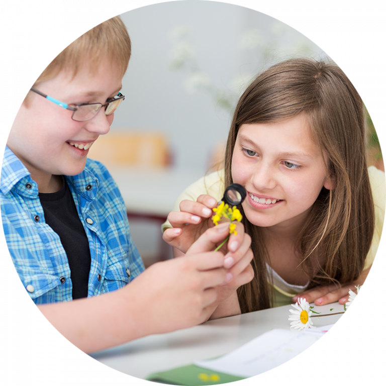 boy and girl in a classroom examining a yellow flower with a magnifying glass