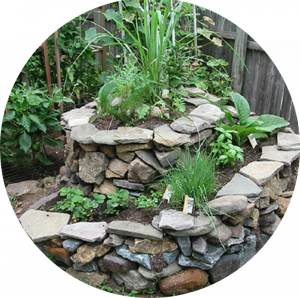 stone herb spiral with herbs growing