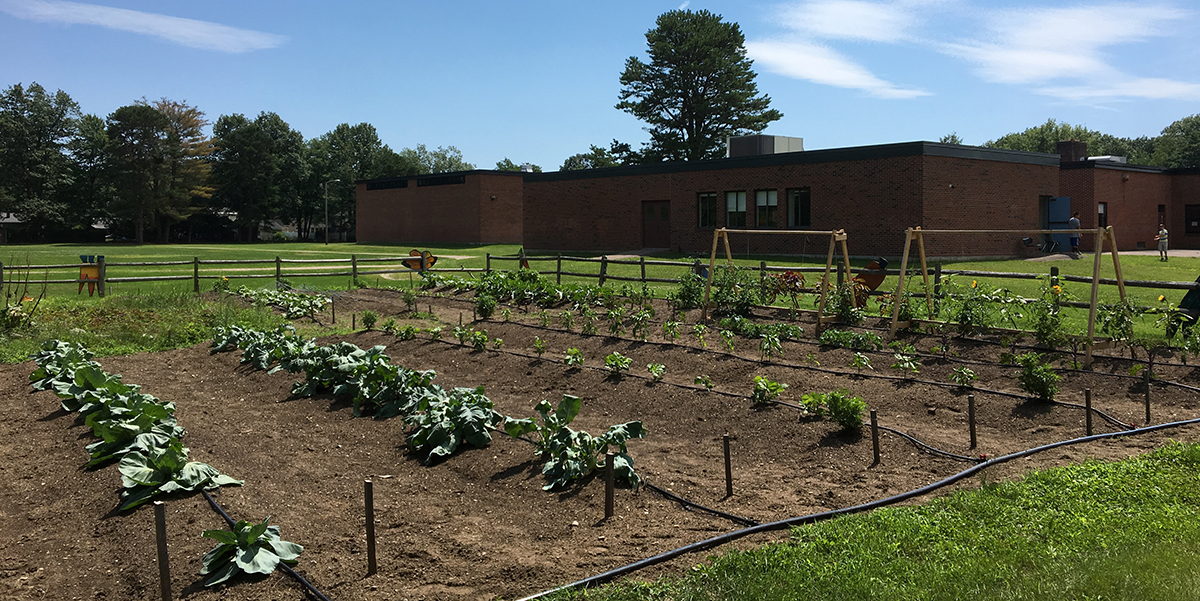 How To Make School Garden