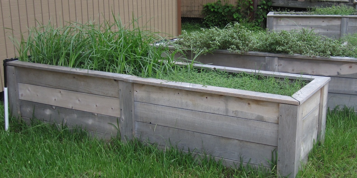 successful year in the school garden