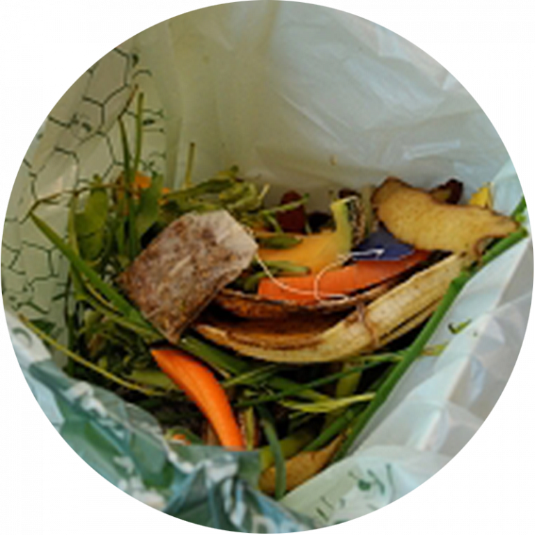 Compost in a plastic bag