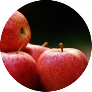 Pile of 4 picked red apples