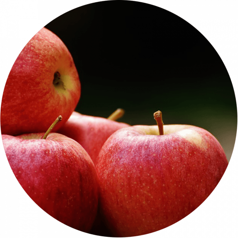 Pile of 4 picked red apples