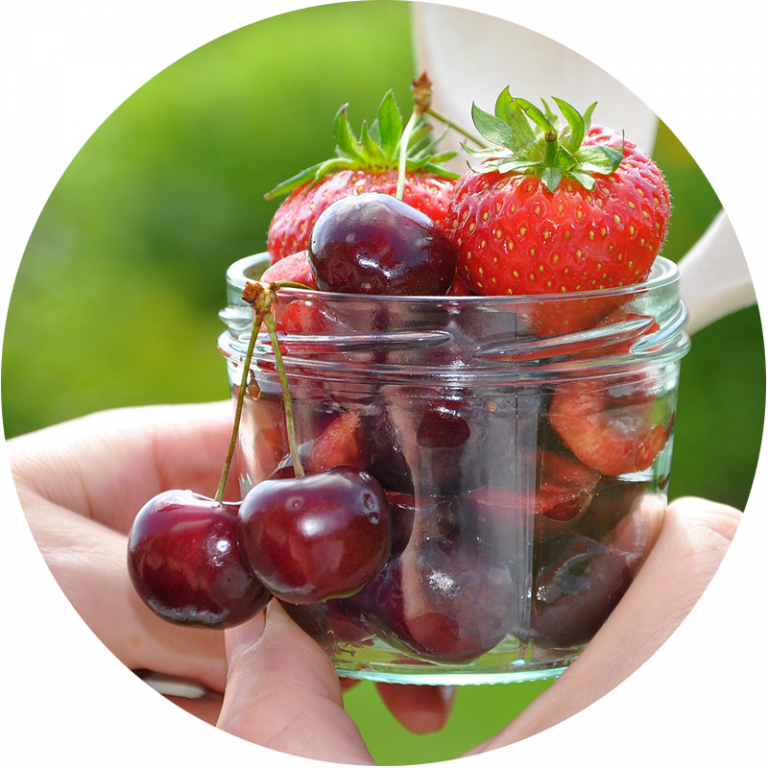 food preservation