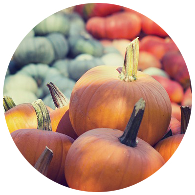 pile of pumpkins