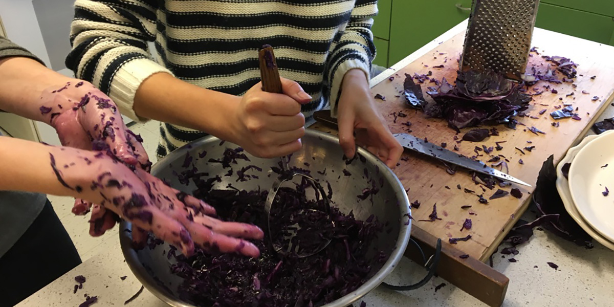 sauerkraut for school credit sauerkraut for school credit