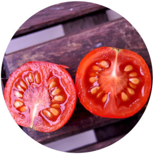 saving seeds from a tomato