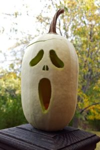 jack-o-lantern pumpkin