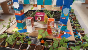 carton 2 garden